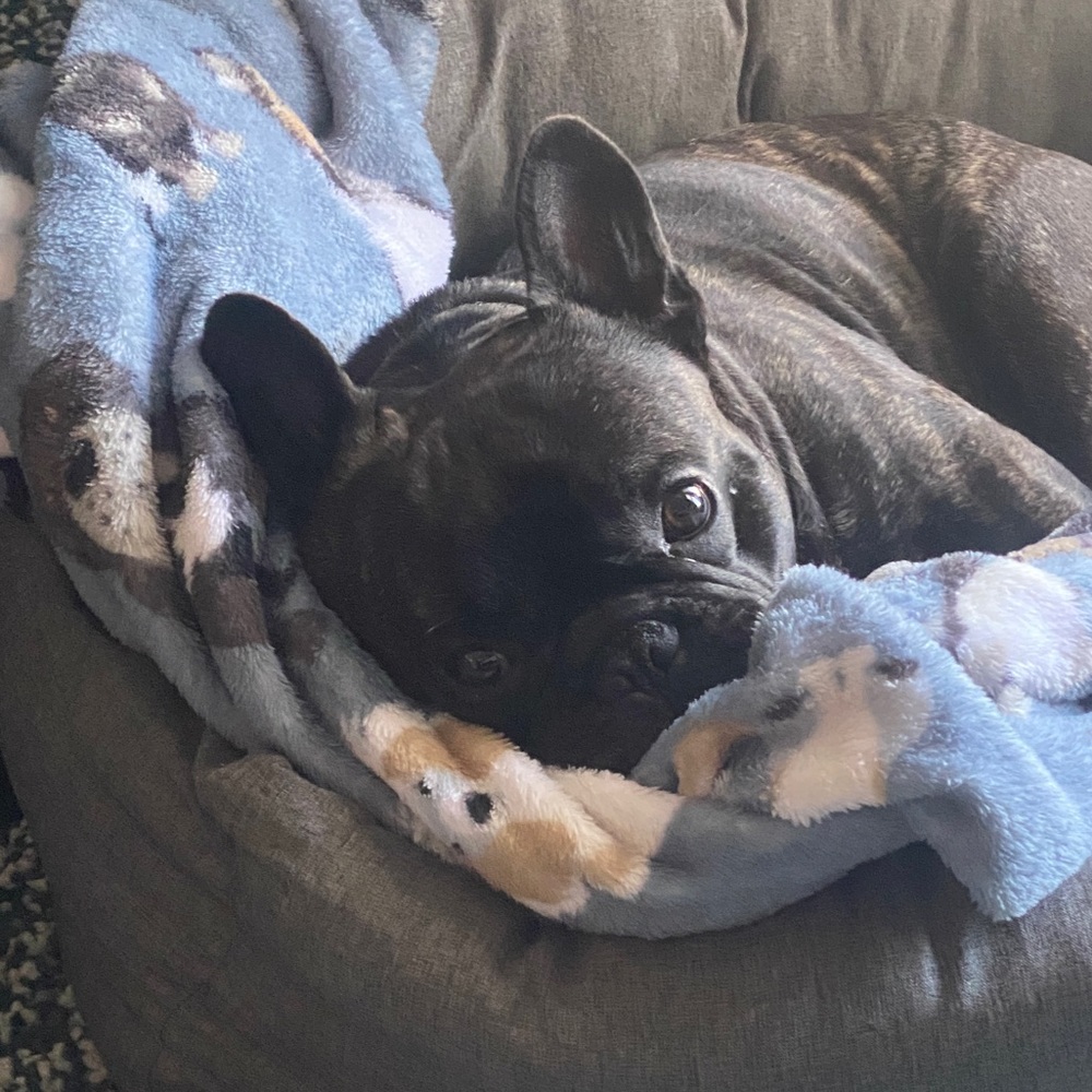 Meet your Posher, Jackeline